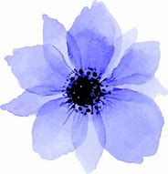 Image result for Blue and Purple Flowers Wallpaper