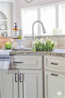 kitchen sink organizing ideas organization for the kitchen sink kelley nan kitchen sink organizing ideas organization for the kitchen sink kelley nan