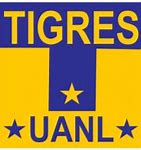 Image result for Tigres UANL Logo