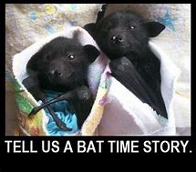 Image result for Funny Memes About Bats