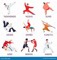 Image result for Martial Arts Fighter