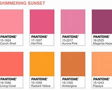 Image result for Pantone Coral Color