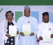 Image result for Buhari Campaign Promises