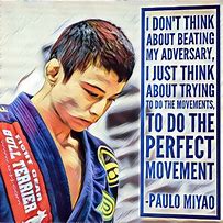 Image result for Brazilian Jiu Jitsu Quotes