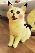 Image result for Pikachu as a Cat