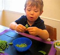 Image result for Pea Facts