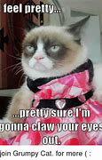 Image result for Cute Grumpy Cat Memes