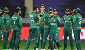 Image result for Pakistan Cricket Flag