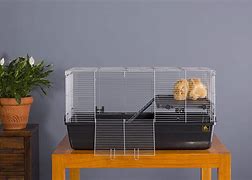 Image result for Guinea Pig Cages
