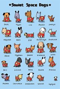 Image result for Soviet Space Dogs Poster