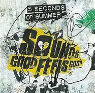 Image result for 5sos autographed album