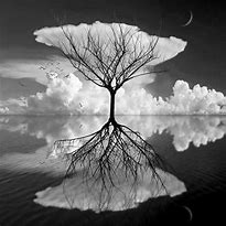 Image result for Black and White Surreal Photography