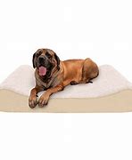 Image result for Orthopedic Gel Dog Bed