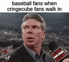 Image result for Baseball Fan Meme