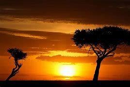 Image result for sunset safaris s african