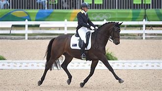 Image result for Paris Olympic Dressage