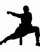 Image result for martial arts'