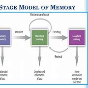 Image result for One Store Theory of Memory