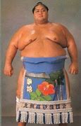 Image result for Hawaiian Sumo Wrestler Konishiki