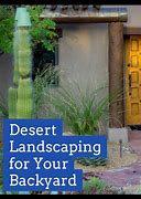 Image result for Best Plants for Desert Landscaping