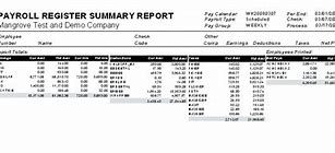 Image result for ADP Payroll Summary Report