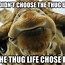 Image result for Giraffe Neck Meme