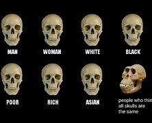 Image result for Human Race Meme