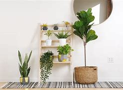 Image result for 70 TV Stand for Living Room