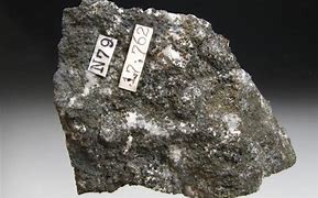 Image result for acocite