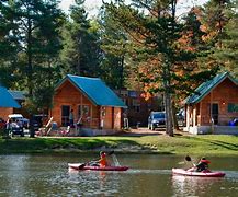 Image result for Forest Cabin Bed Camp