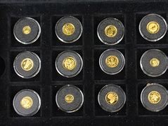 Image result for Suilvaneres Coins