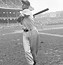 Image result for Ted Williams 1960