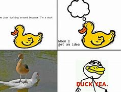 Image result for Duck Yeah Meme