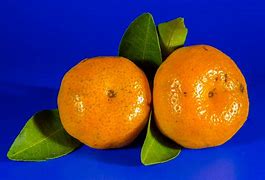 Image result for Fruits That Are Orange