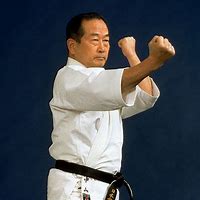 Image result for Nakayama Karate