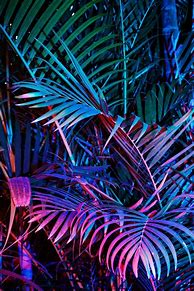 Image result for Neon Phone Wallpaper