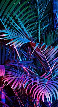 Image result for Neon iPhone Backgrounds