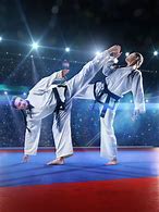 Image result for Different Karate Styles