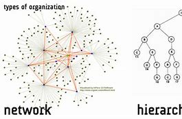 Image result for Hierarchical Organization Structure