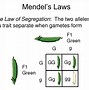 Image result for Recessive Genotype Example