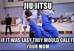 Image result for Sorry Wrong Person BJJ Meme
