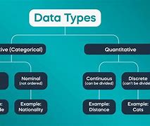 Image result for Data Type