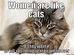 Image result for Ladies Cat Meme