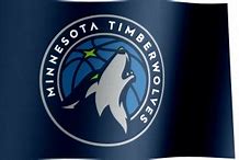 Image result for Minnesota Timberwolves Mascot