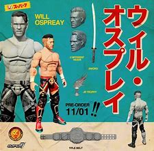 Image result for 100 WWE Toys