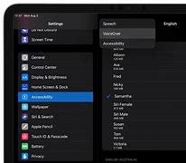 Image result for iPhone Model in Settings