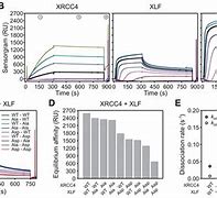 Image result for xlf stock