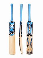Image result for Puma Ashes 5 Cricket Bat Kashmir Willow