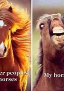 Image result for Horse People Memes