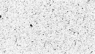 Image result for Noise Grain Texture